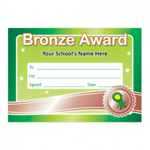 Bronze Award Certificate