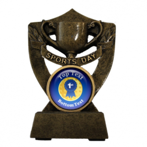 Bronze Personalised Trophy