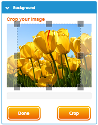 Crop Your Image