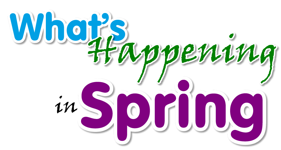 Spring Events Calendar For Classroom Planning | School Stickers